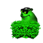 Night Vision Chomik