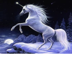 Unicornforthelife Squad
