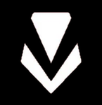 Vanguard Studios LLC