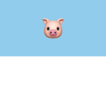 Piggy dance academy