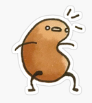 Silly beanz! ! !