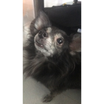 HugO CUTIE