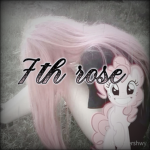 ‘7th rose