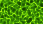 GreenisClothes