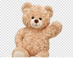 Bear And Members