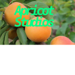 Apricot studios