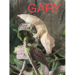 Gary Fans Unite
