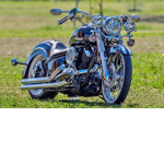Bear's motorcycle shirts