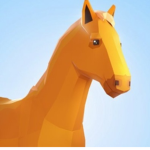 ~Team Horse Valley~