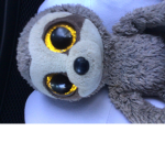 Sloth hang out studios