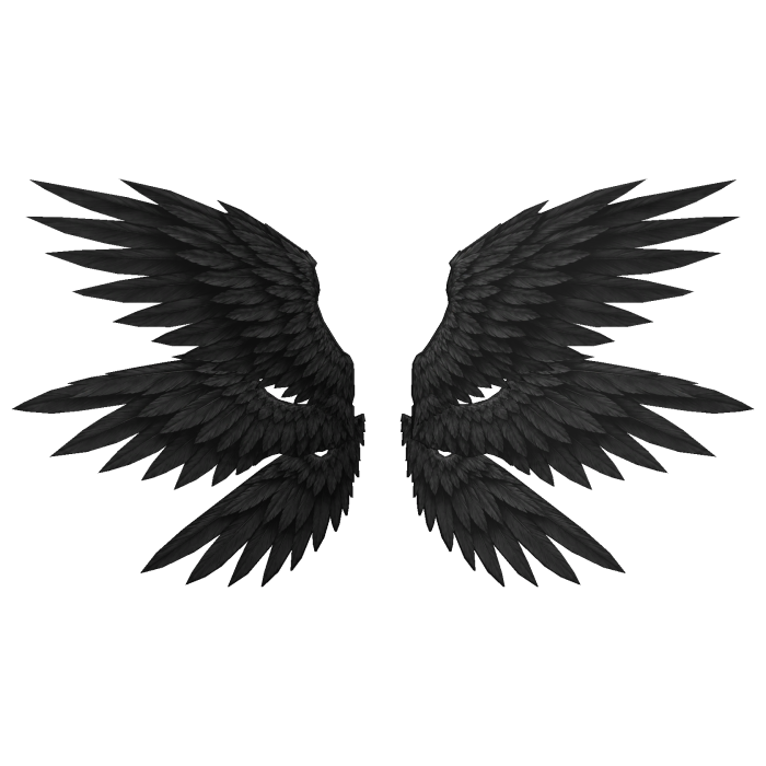 Black Seraphim Angel Wings