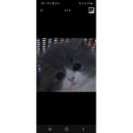 평범한일상