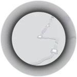 caption=Badge