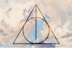 #Harry Potter Group of Fans