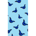 Bird Life