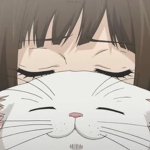 large kittens