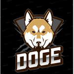 Assassin's Of D.O.G.E