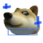 The united Doge_nations united space program