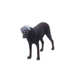 Rumie