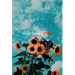 Evie_bears