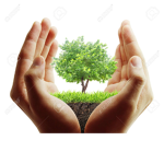 # Save The Animals And Earth