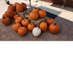 lilnaw