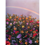 ~The Pretty’s~