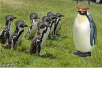 Grupo de la nieve >:D