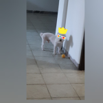 Holaaaa amigo