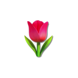 🌷