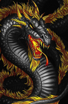 The Best Dragon Group