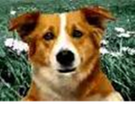 Friends group [open for all]