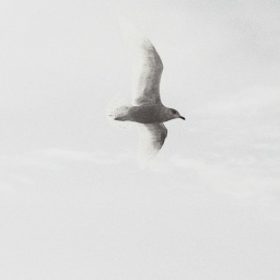 𝐬𝐭𝐢𝐥𝐥