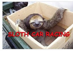 Sloth races
