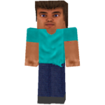 Minecraft Steve Stans