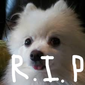 R.I.P Gabe The Dog
