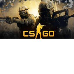 Counter Strike Global Offansive ( CSGO ) 🚨