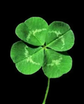 4Leaf TD