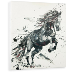|~|banner equestrian|~|