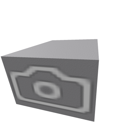 Camera View