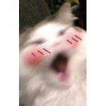 *.audios.*
