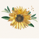 The Little Sunflower Squad