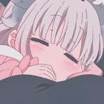 s o f t i q u e