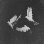 vιвeѕ~