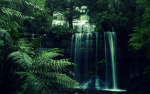 santa monica woodlands