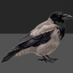 Ravens_Studio