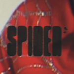 Spider WorIdWide