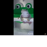 Dream frogs<3
