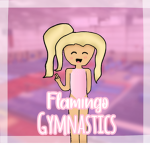 FIamingo Gymnastics