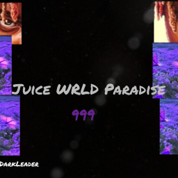 Juice WRLD Paradise